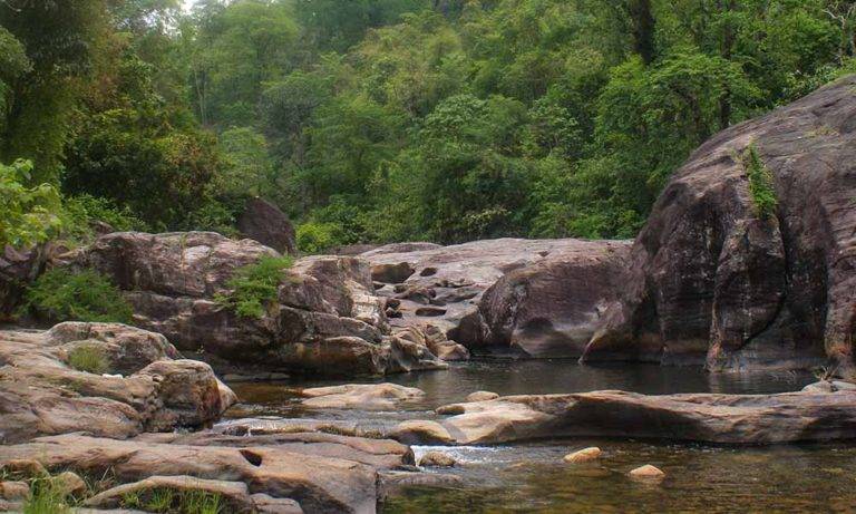 Kalikesam Waterfalls - Bird watching - Roaming Owls