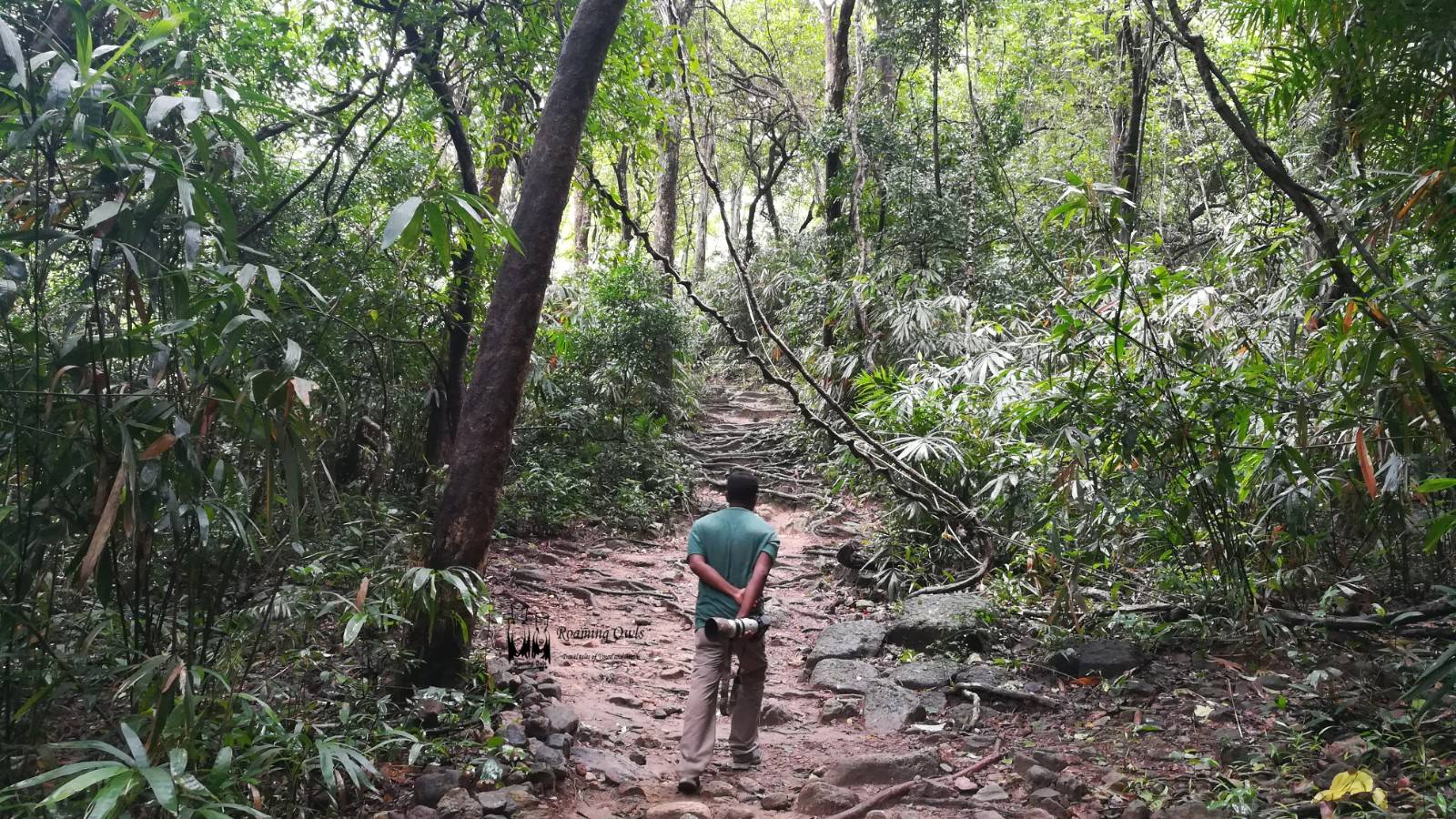 Meenmutty falls trekking, மீன்முட்டி அருவி