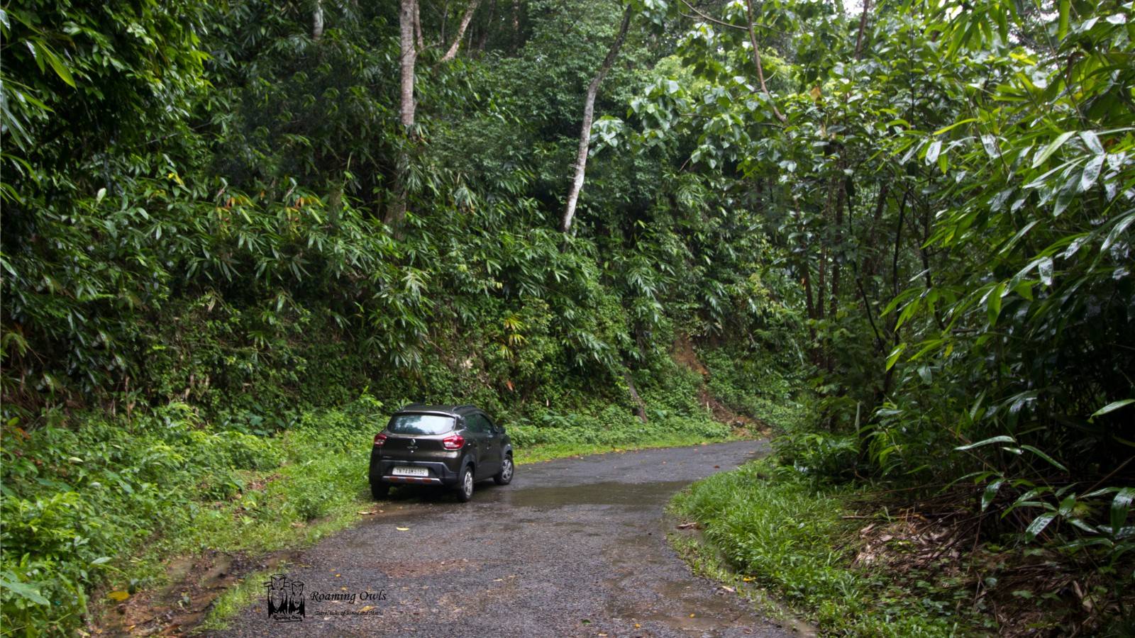 kwid,ponmudi road,renault kwid