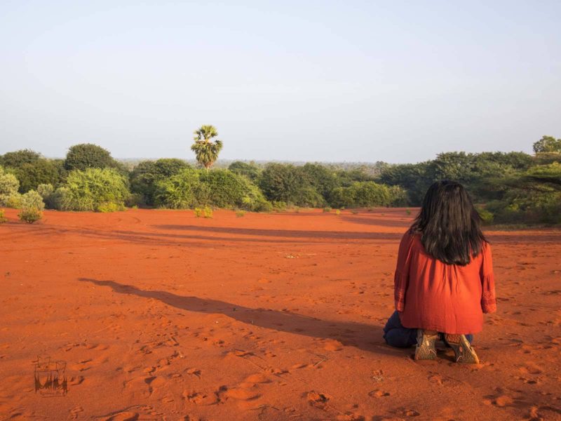 There is a desert in Tamil Nadu and the dunes are red