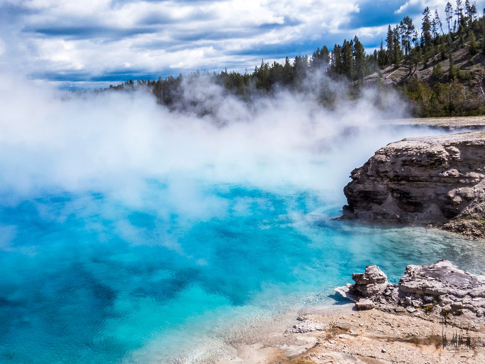 The Hot Springs Of Yellowstone National Park Roaming Owls