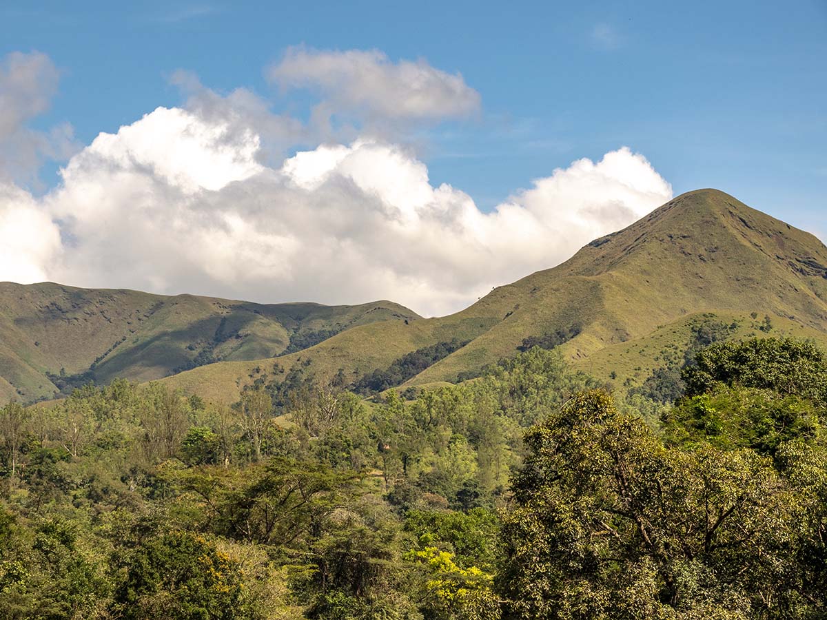 Kurinjal Peak Trekking - Kudremukh - Roaming Owls