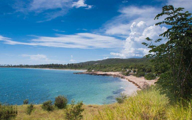 Guánica State Forest
