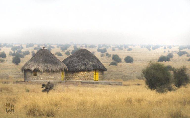 Desert National Park view