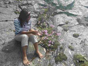 munnar theni road impatiens flowers