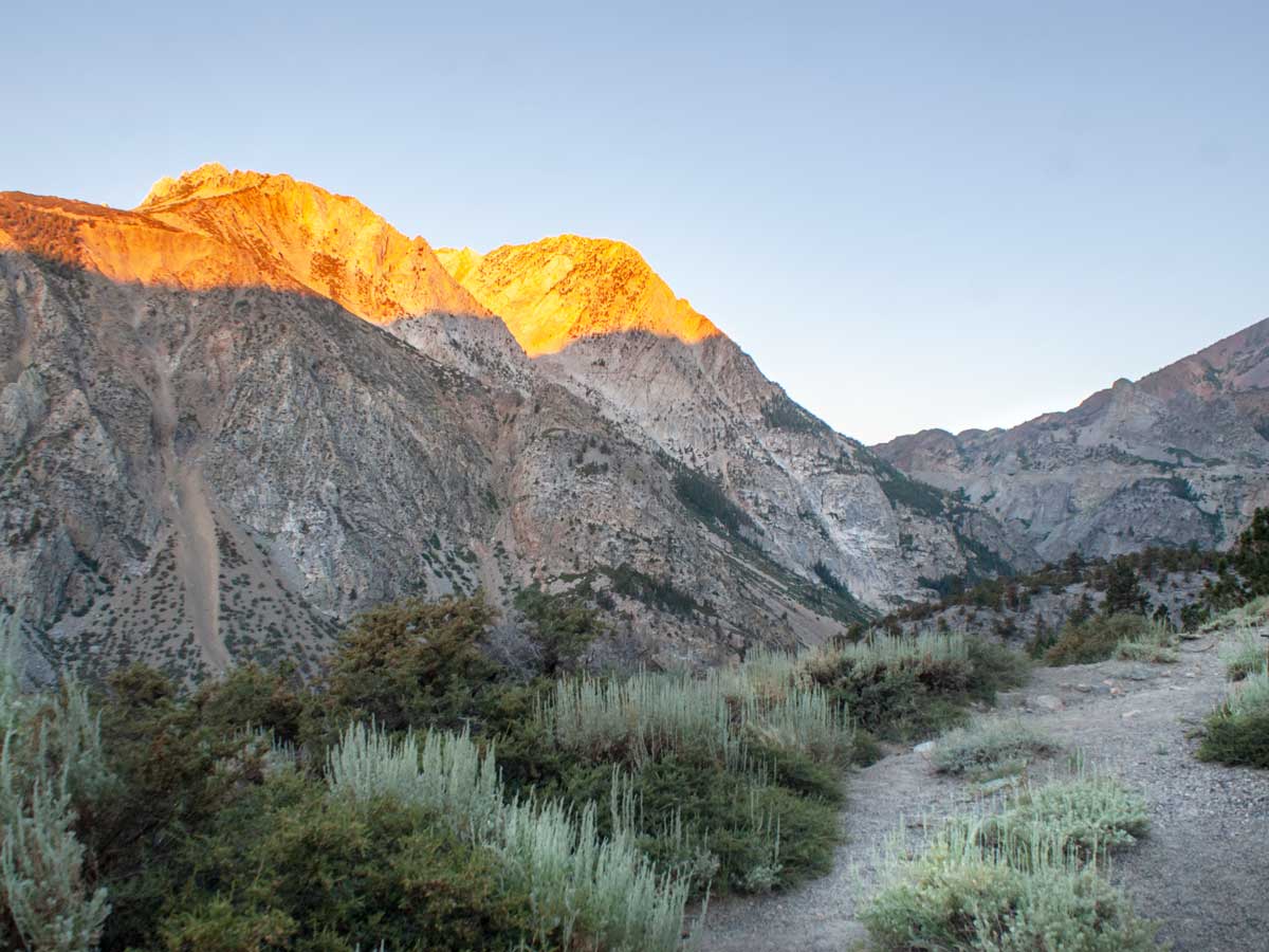 Inyo National Forest - Roaming Owls