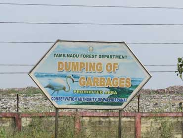 pallikaranai-garbage-dumping-thumbnail