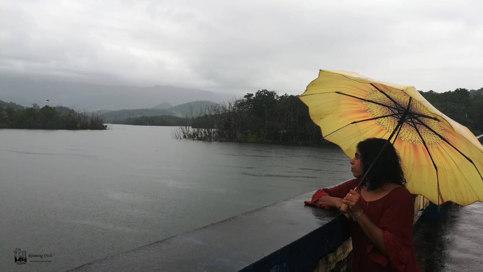 Peppara dam, mathi, yellow umbrella