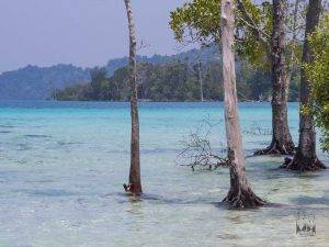 roamingowls andaman blue water beach