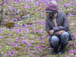 where-we-travel-mathi-primula thumbnail